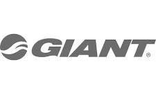 GIANT SyncDrive Logo