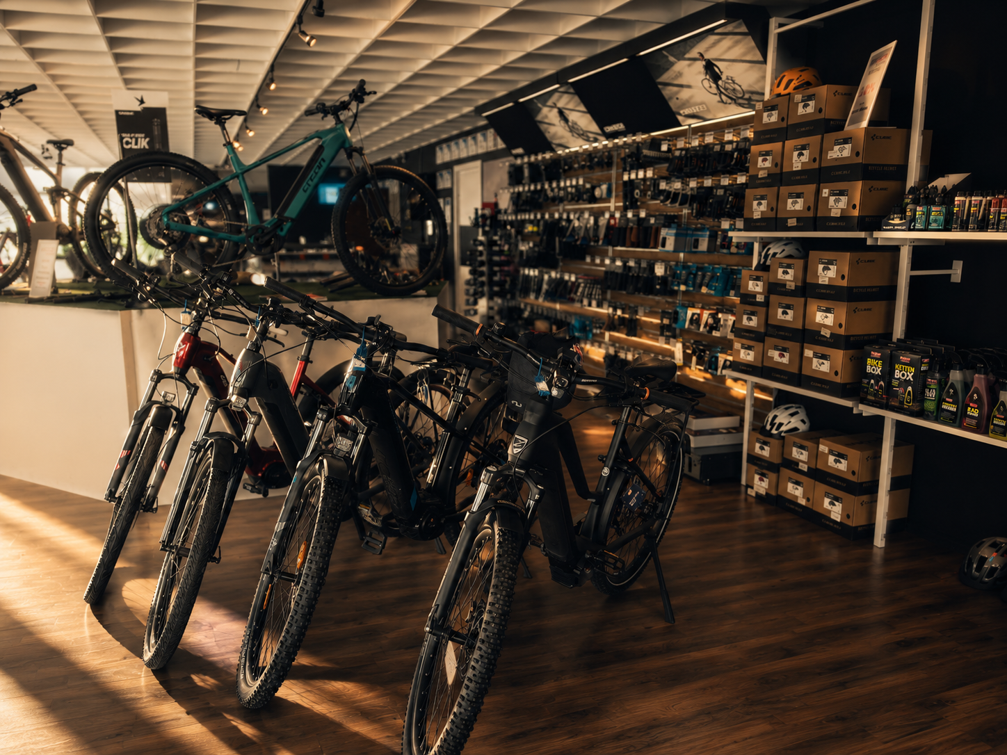 Nachwuchs bei Arends E-Bikes