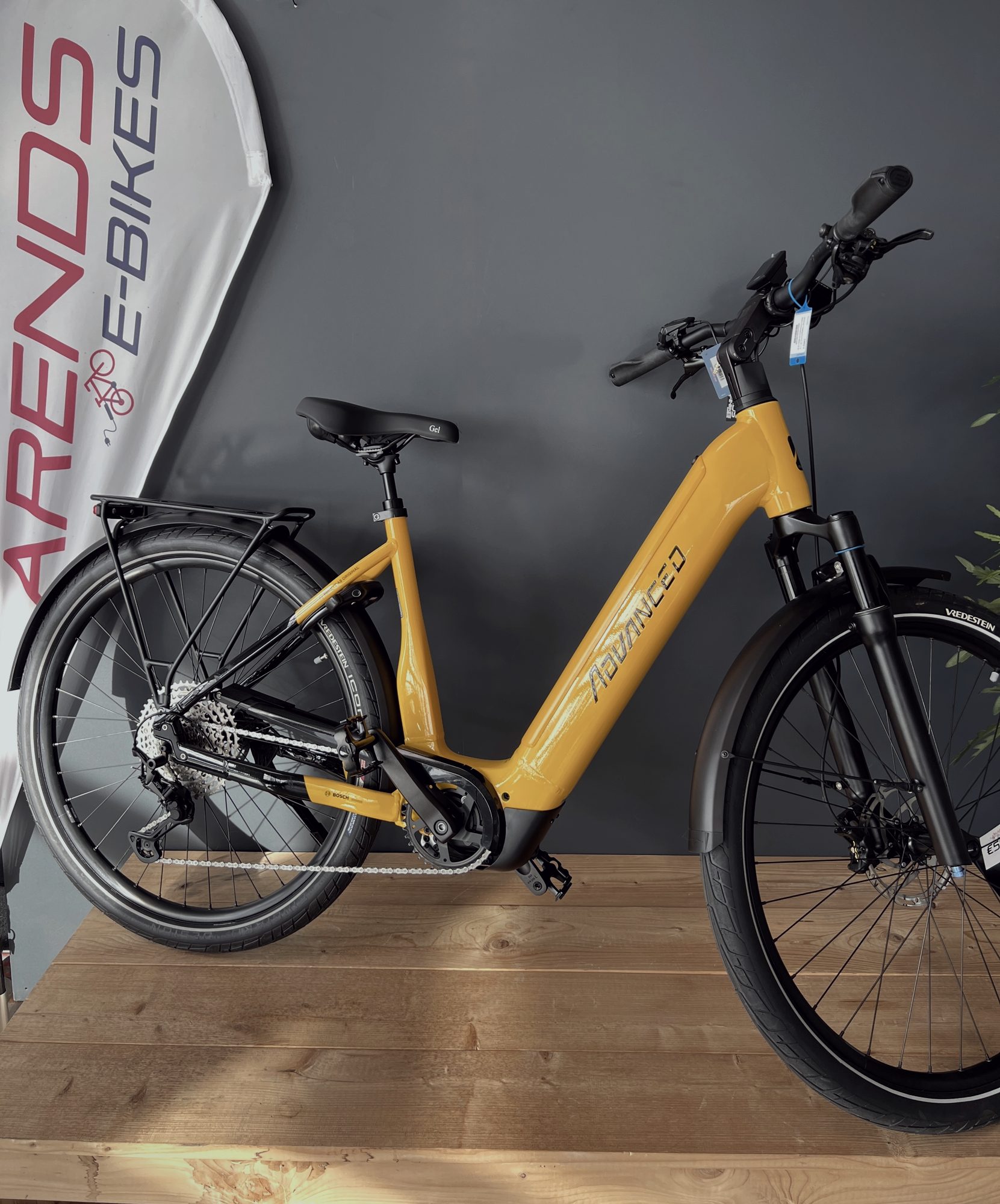 Trekking E-Bike